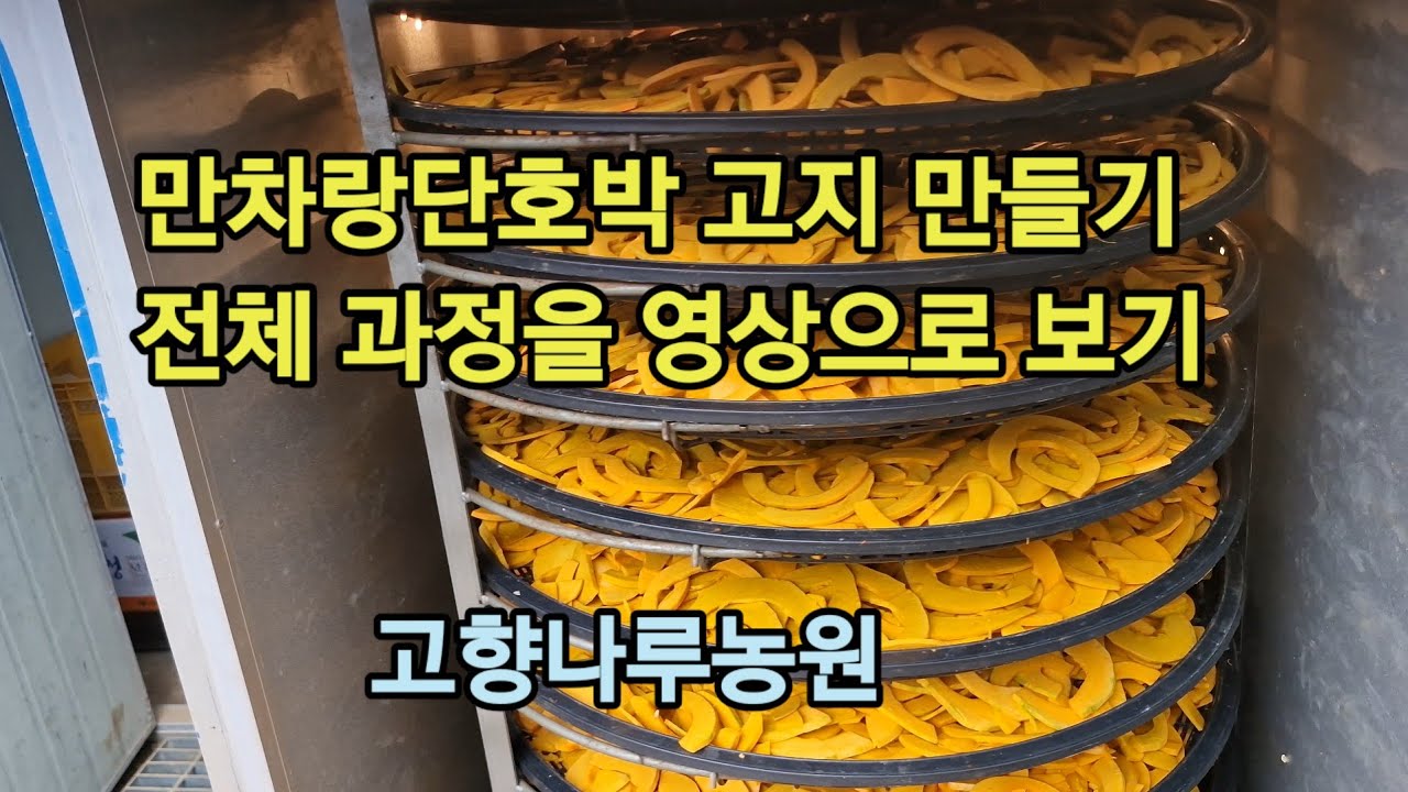 만차랑단호박 단호박고지 만들기 전 과정 공개영상
