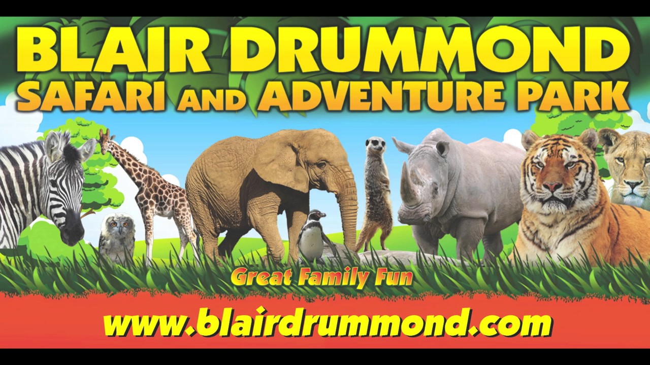 blair drummond safari park video clips