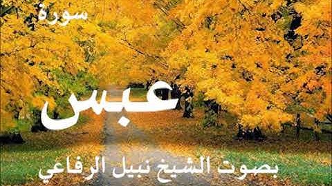 080  سورة عبس الشيخ نبيل الرفاعي