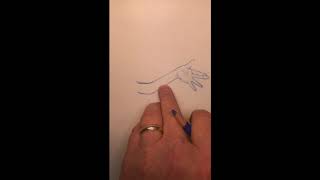 How to Draw a Bat Wing with Brian Lies