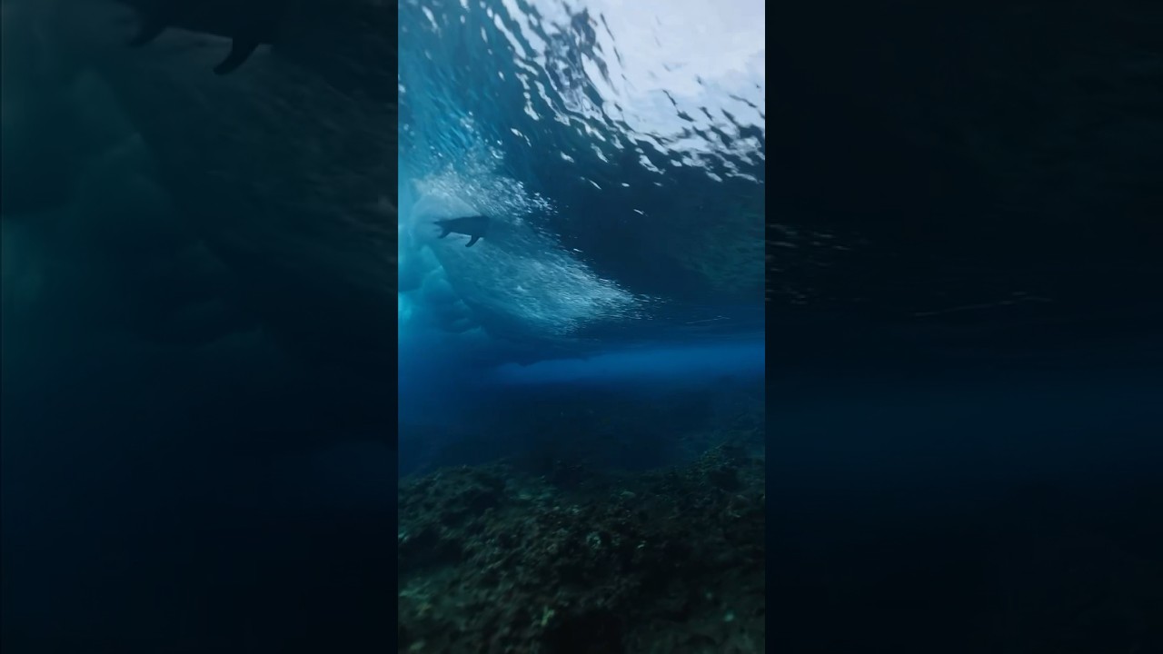 This is what underneath a wave looks like 