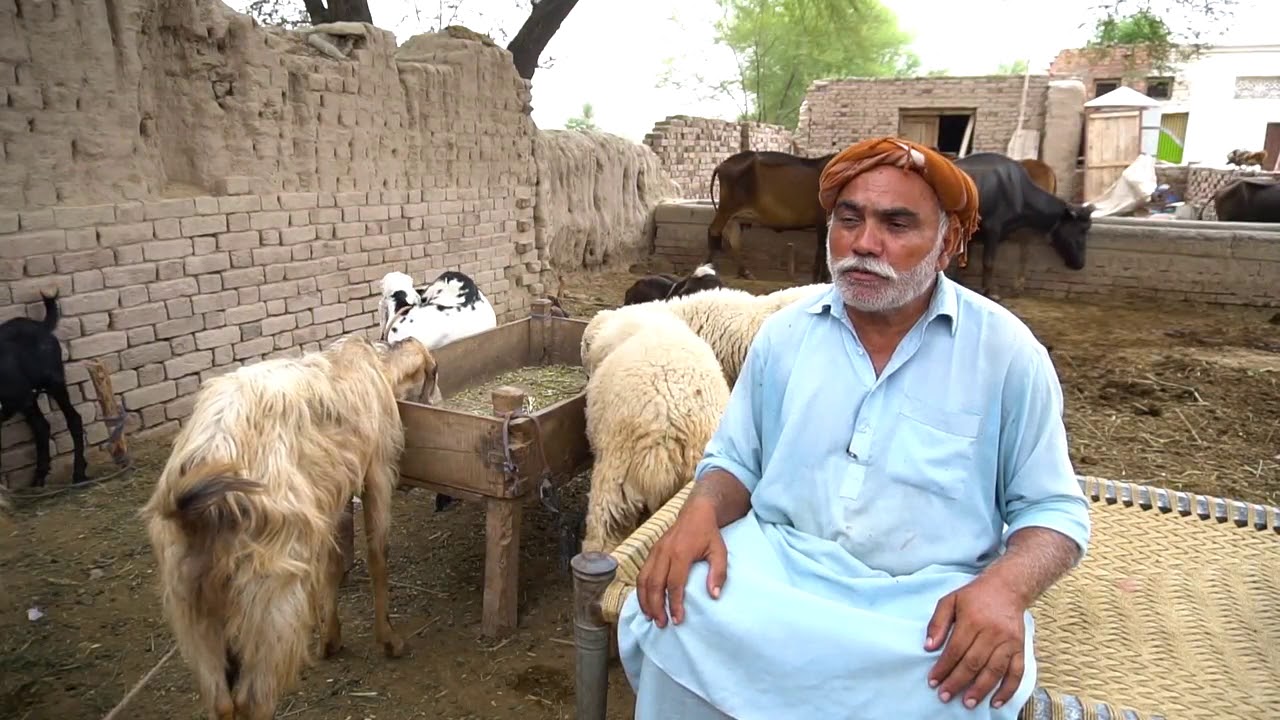 Khushali bank Baba Multani - YouTube