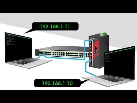 VLAN Trunking with an Antaira & Cisco Switch