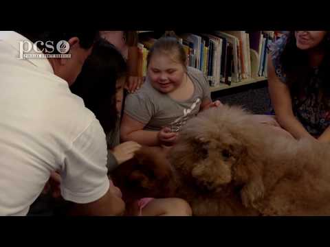 Dogs help ESE students learn at Leila Davis Elementary School