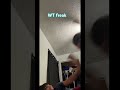 Took a picture of my cousins fighting and could never be me 