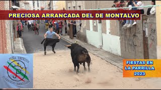 La Parrilla (Va). &quot;Toro de la Juventud Parrillana&quot;. 9/6/2023