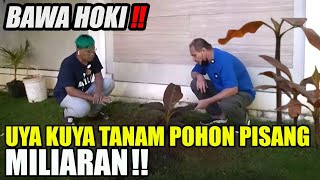 BAWA HOKI , UYA KUYA TANAM POHON PISANG MILIARAN‼