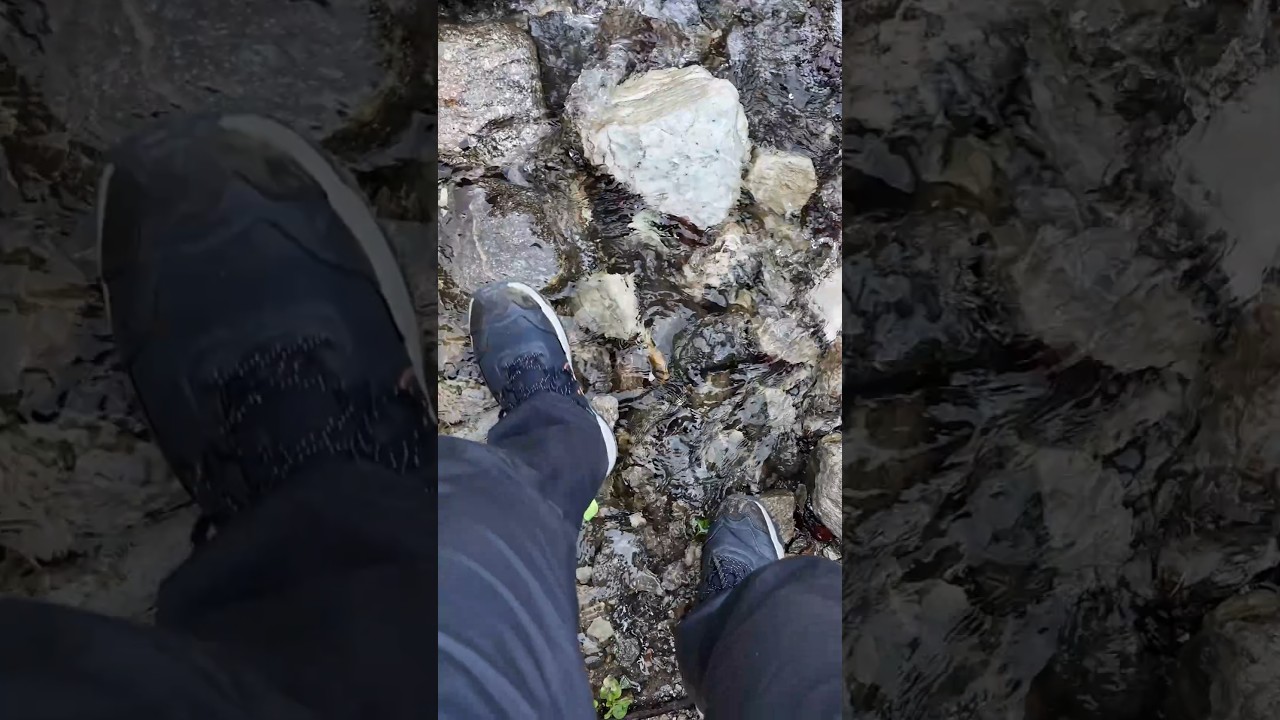 Crossing a Himalayan Stream  | Adventure in the Himalayas | Incredible India