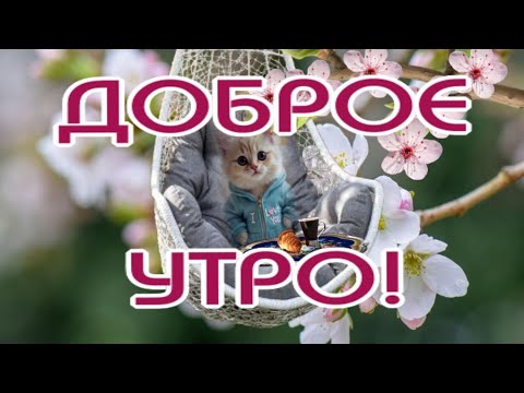 Доброе утро 🥰Пусть оно начнется с ароматного кофе, с прекрасных новостей