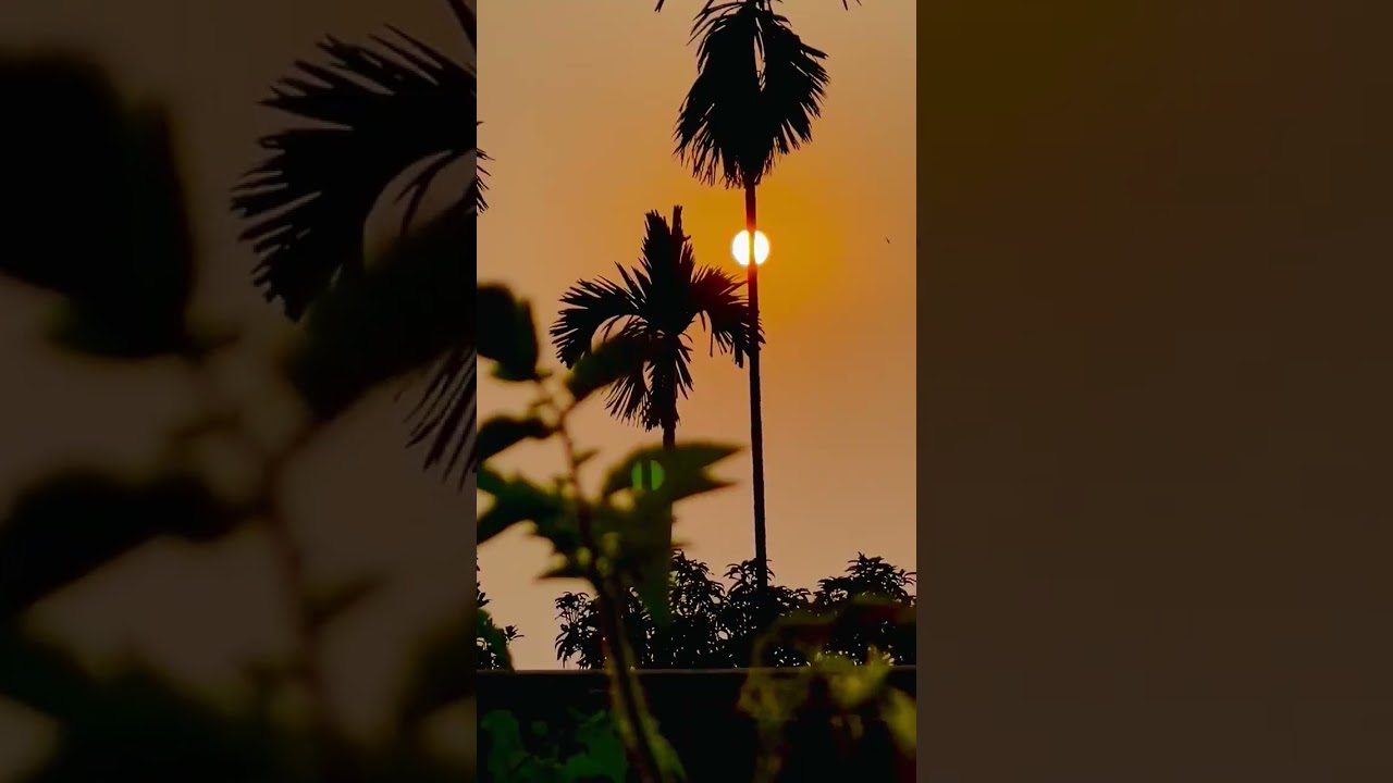 বলতে বলতে চলতে চলতে 😍😍#shorts #youtubeshorts #viralshorts #song #imransong #music #foryou