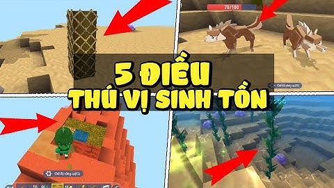 Mini World: 5 điều bạn cần biết trong sinh tồn đại dương lần này
