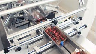 FW750 flow pack machine