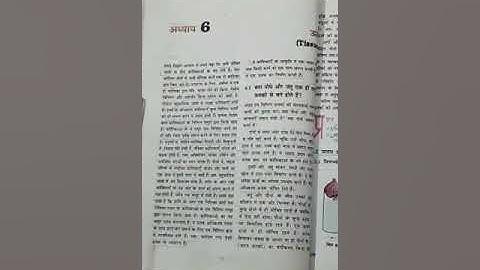 Tissues Lect 1 | Science | Class 9 UP Board | By Shashi Gupta | GGIC PHAPHAMAU