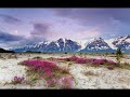 حه سه ن زيره ك چارۆکە سور تۆبە بێ کرماشان حه سه ن زيره ك چارۆکە سور تۆبە بێ کرماشان