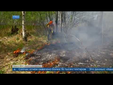 Первый канал, Борьба с пожарами в России, 15 июня 2022