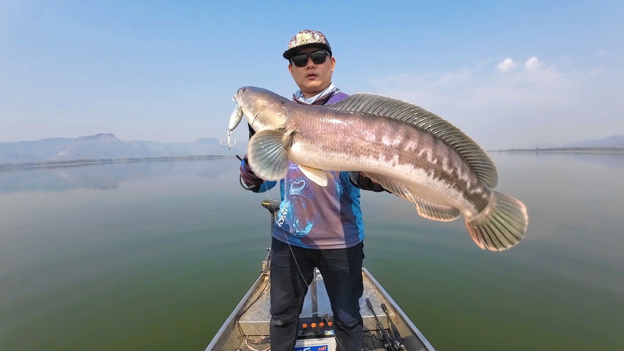 ตีจิบชะโดผิวน้ำ