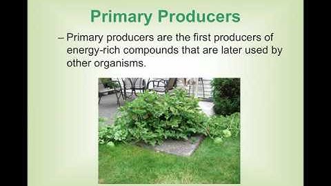 Introduction to ecology