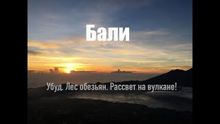 Остров Бали. Отдых на Бали. Убуд