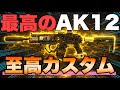 【デルタフォースモバイル】最高のAK12至高のカスタムを紹介💜【Deltaforce/オペレーションズ】　#勝手に名銃鑑定 #三角洲行动 #デルタフォース #おすすめ  #fyp 