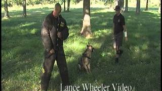 K-9's Train at Greene County Resort-Lance Wheeler Video