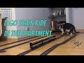 Incredible Gigantic LEGO train ride in the apartment