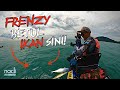 IKAN FRENZY!! Taruk MAKAN! Taruk MAKAN! | Fast micro jigging |Kayak Fishing ZERO to HERO! v86