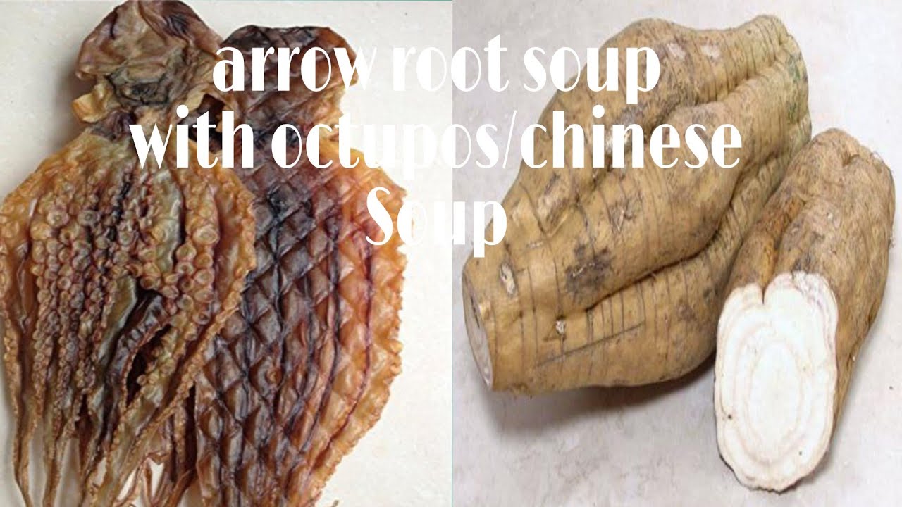 ARROW ROOT WITH OCTOPUS/CHINESE HEALTHY SOUP - YouTube