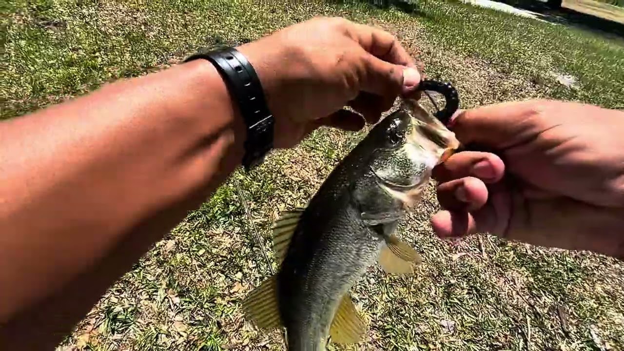 First day spring bass fishing