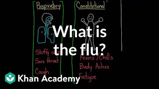 What is the flu? | Infectious diseases | Health & Medicine | Khan Academy