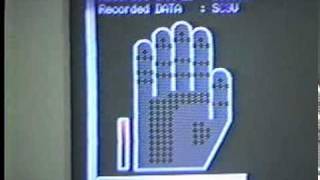Sensor glove