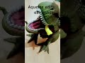 aquelas edits duvidosas #justiçapeloorelha #engraçado #funny