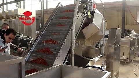 Nut Frying & Deoilling & Seasoning Production Line