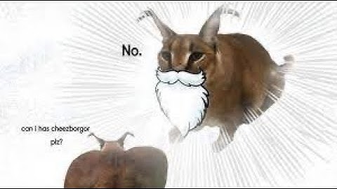 Getting auto clicker 2.0 in raise a floppa