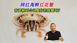 网红海鲜红花蟹，有资格叫公认最好的螃蟹吗？