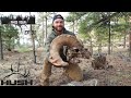 SHED TOUR | A ONCE IN A LIFETIME FIND - DESERT BIGHORN SKULL! | S3E31