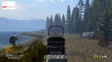 Most random encounter in DayZ?