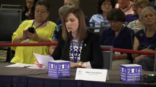 Famous DemPlatform Hearing Phoenix Day 1 Madeleine Foote Net Worth