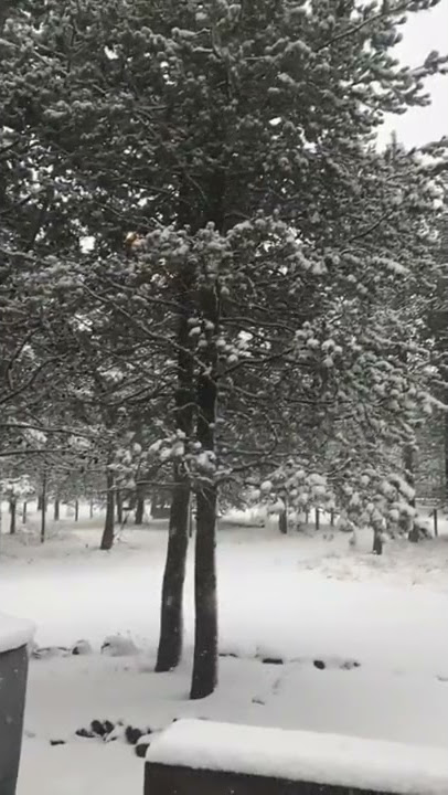 Village Properties at Sunriver   SNOW! November 5, 2017