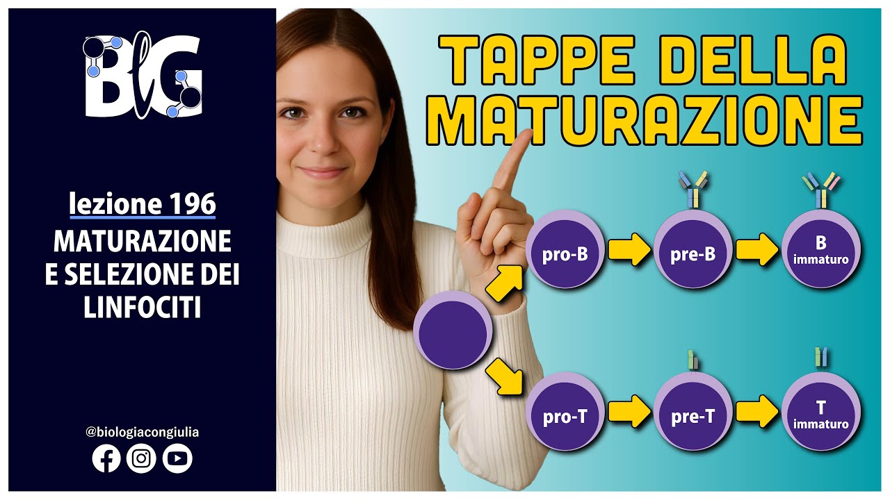 MATURAZIONE e SELEZIONE dei LINFOCITI