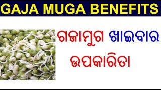 ଗଜାମୁଗ ର ୯ ଟି ଔଷଧୀୟ ଗୁଣ | Gajamuga ra upakarita Odia | Gajamuga benefits in Odia | ODIA HEALTH TIPS