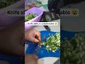 OH BOY!😮 Can you do this? #asmrvideo #knifeskills #okrarecipes #youtubeshorts #nigeriafood #nigeria