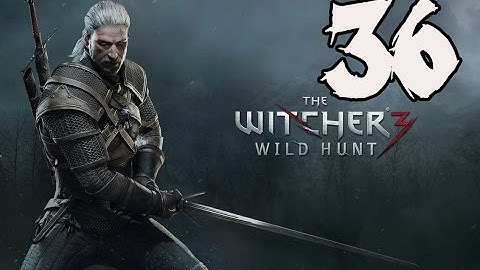 The Witcher 3: Wild Hunt - Gameplay Walkthrough Part 36: Wild at Heart