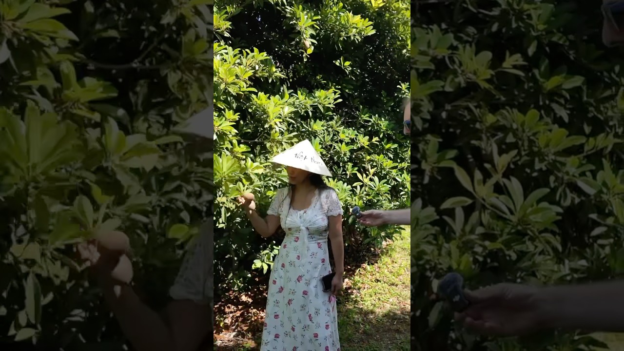 Этот тропический фрукт по вкусу напоминает грушу, обмакнутую в коричневый сахар! 