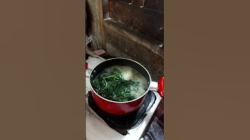 masak samber goreng daun singkong rebus