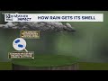 How does rain get its smell?