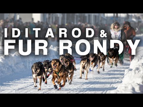 Video: Kann ich das Iditarod im Fernsehen sehen?