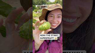 4 Things You Need to Know About the Fruit That Tastes Like CHEESE