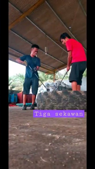 Tiga sekawan#shorts