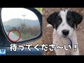 見ず知らずの人の後を必死についてきた犬。心優しい人との出会いに心温まる【感動】