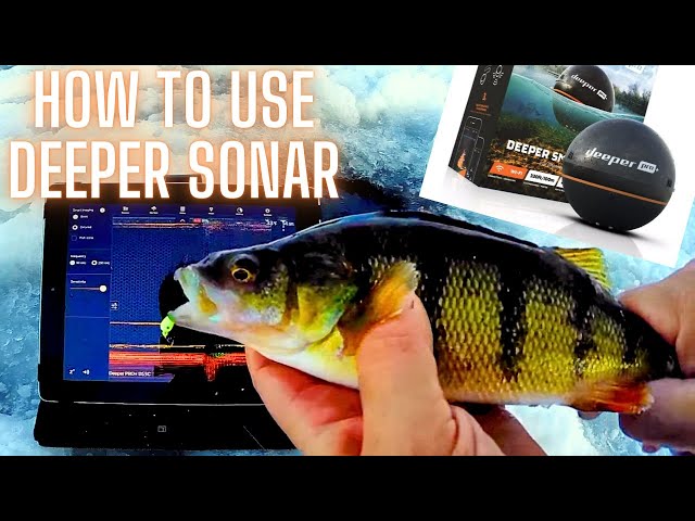 How to Use Deeper Pro Plus Sonar for Ice Fishing Perch 